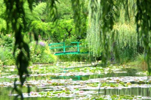 The classic scene in Monet's garden.